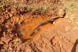 12265_p16od97a7gqorc7tmujqp81brj4