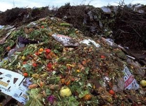 Food waste image