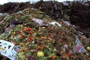 Food waste image