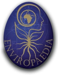 Enviropaedia logo image