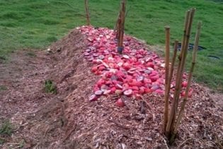 static compost heap image