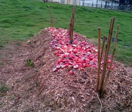 static compost heap image