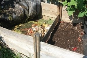 home composting image