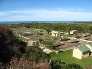 Cape Recife Waste Water Treatment Works image