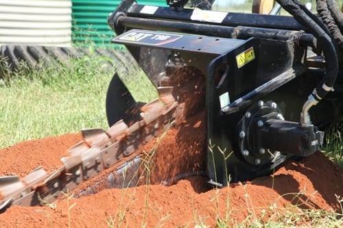 Cat trencher image