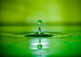 green drop image