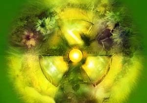 Nuclear image