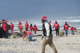 Coastal Clean-Up 2013 image