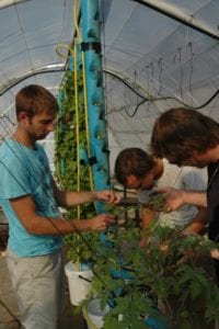 Stellenbosch University agronomy students image