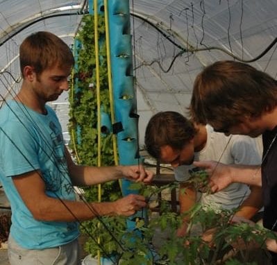 Stellenbosch University agronomy students image