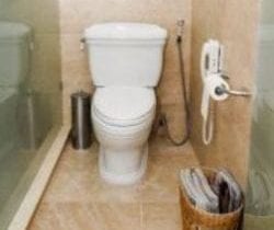 toilet image