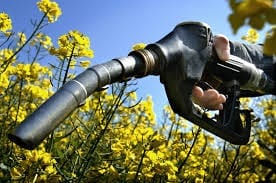 Biofuel image
