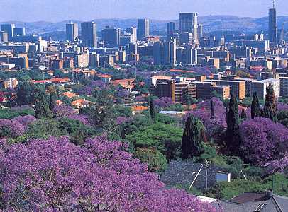 City of Tshwane image