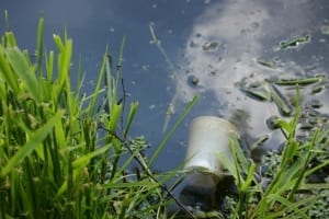 water pollution image