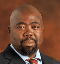 Thulas Nxesi image