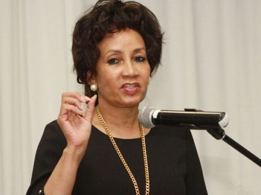 Lindiwe Sisulu image