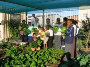 Food Garden