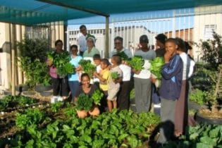 Food Garden