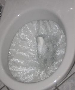 Flushing_toilet