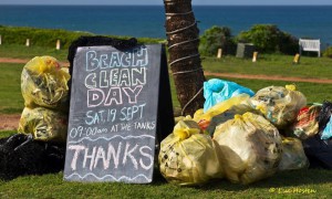 The 2016 International Coastal Cleanup will take place on 17 September. Photo: Plastics SA 