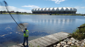 North End Lake being dosed with special bacterial solution to rid it of pollution (Image: supplied)