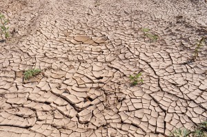 The Umfolozi River has run dry