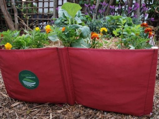 An example of the Earth Garden. Picture: EARTH PROBIOTIC