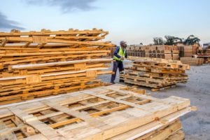 Wellington Kelem, piles up wood at the Struandale plant waste yard. Picture: Quickpic