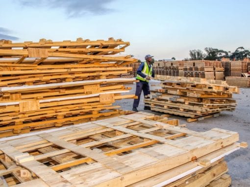 Wellington Kelem, piles up wood at the Struandale plant waste yard. Picture: Quickpic