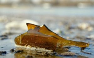 Glass bottles and pieces of paper bags have entered the top ten list of pollutants for the first time in 20 years. Picture: Pixabay