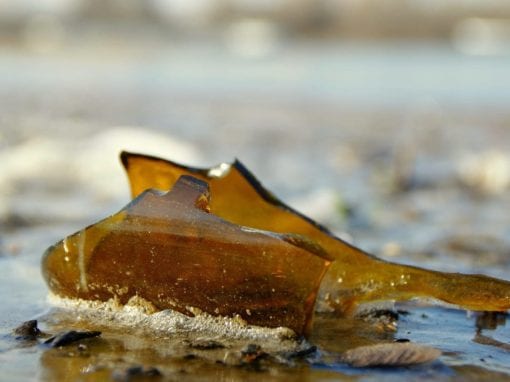 Glass bottles and pieces of paper bags have entered the top ten list of pollutants for the first time in 20 years. Picture: Pixabay