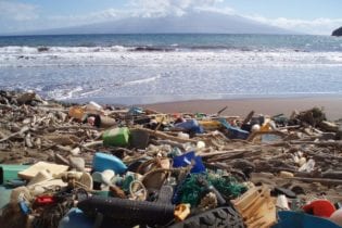 A new report says that there could be more plastic than fish in the ocean by 2050. Picture: Supplied