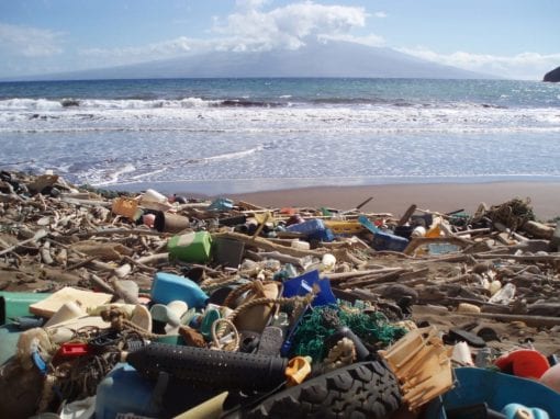 A new report says that there could be more plastic than fish in the ocean by 2050. Picture: Supplied