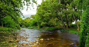 Lourens River: Some 10 km of the Lourens River flows through a section of the farm.