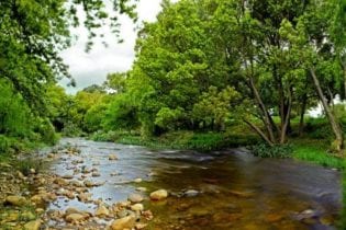 Lourens River: Some 10 km of the Lourens River flows through a section of the farm.