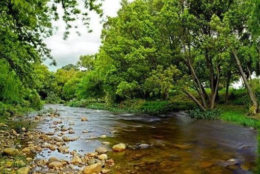 Lourens River: Some 10 km of the Lourens River flows through a section of the farm.