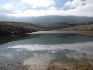 Alien vegetation clearing: Vergelegen middle dam at 100% capacity in late summer.