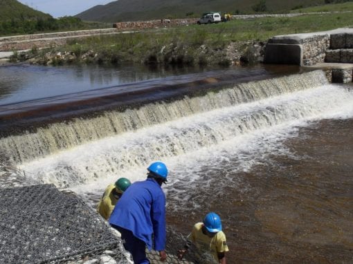 Teams employed by Gamtoos Irrigation Board construct concrete weirs and other structures to conserve degraded peat wetlands in the Kromme River system. Image: Supplied