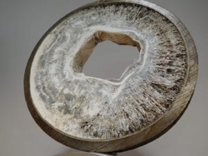 Struvite build-up in a pipe