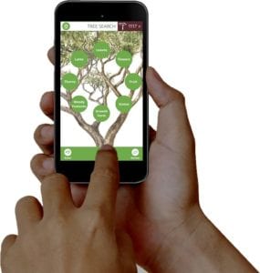 TheTreeApp