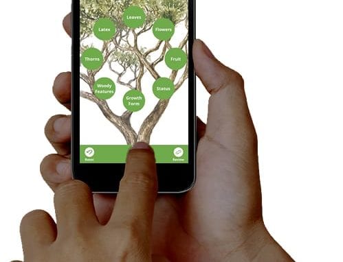 TheTreeApp