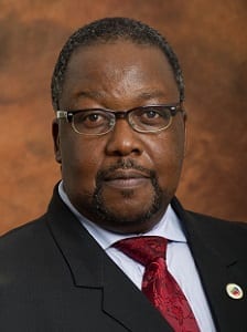 Minister of Public Works Nkosinathi-Nhleko