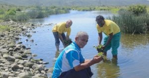 Gamtoos Irrigation Board