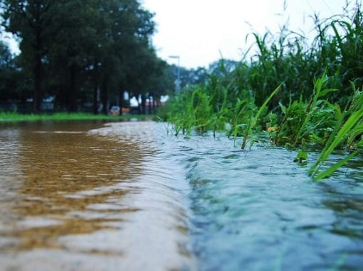 Stormwater. Photo: Jan-Willem Reusink