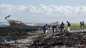 A beach cleanup in progress at Robben Island as part of the 2018 International Coastal Clean-Up Day