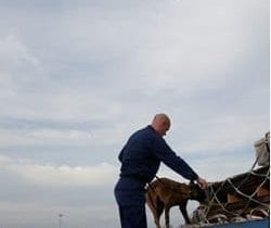 Air Cargo Security image