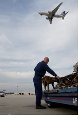Air Cargo Security image