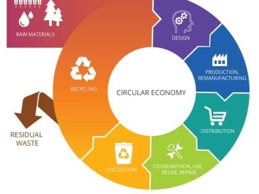 The circular economy