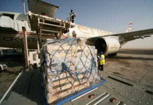 Etihad cargo image