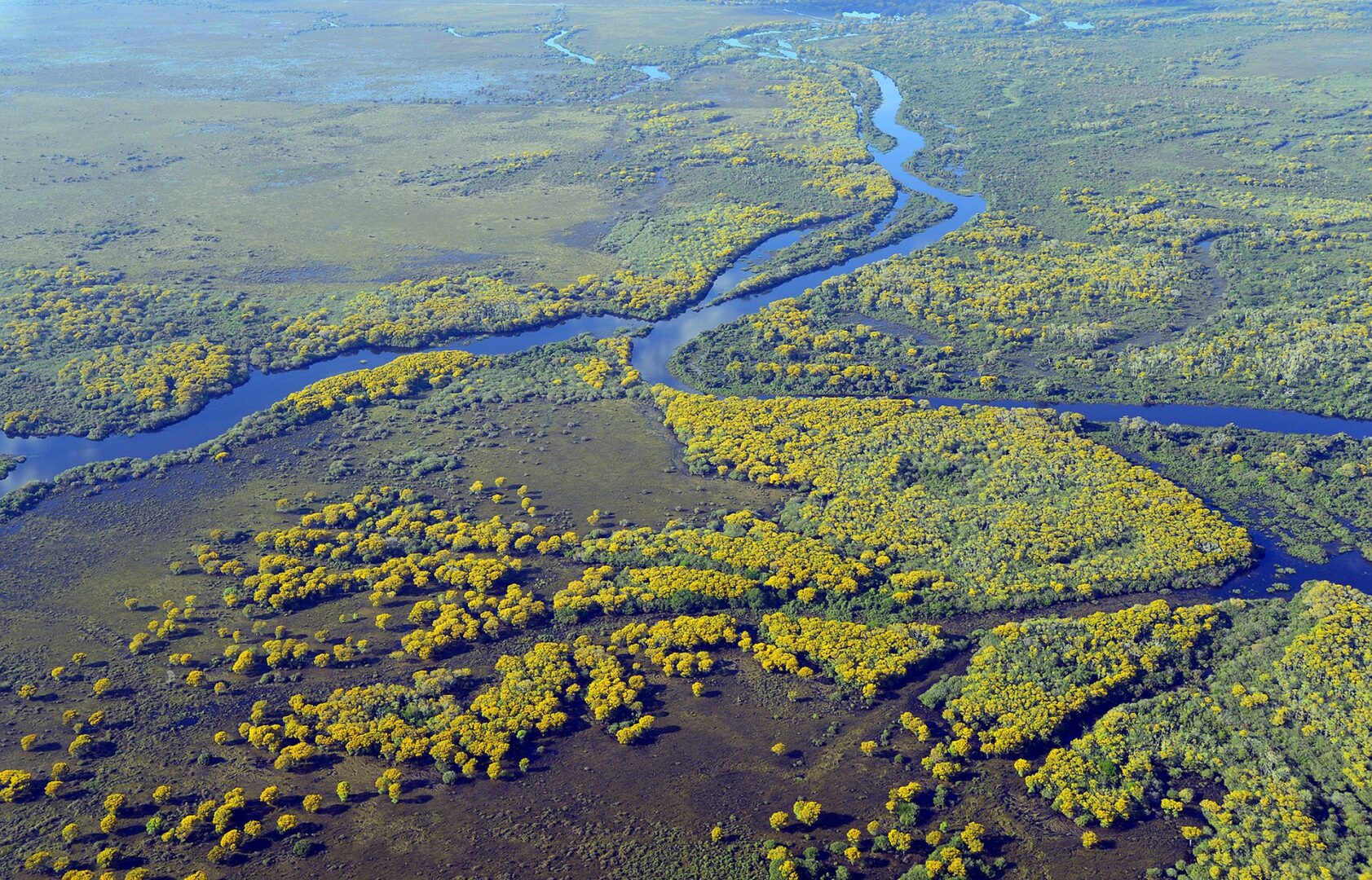 DWS calls on the public to preserve wetlands | Infrastructure news